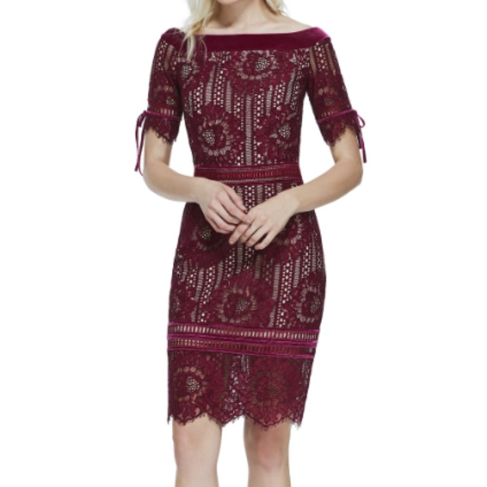 Tadashi Shoji Maroon Velvet Trim Floral Lace Dress
